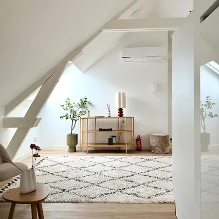 Σπίτι διακοπών Boutique Loft 3 Units Τίλμπουργκ