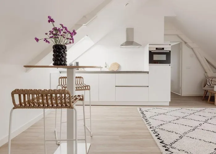 度假居 Boutique Loft 3 Units *